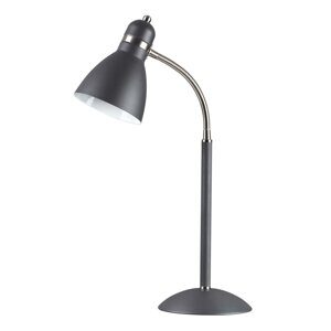 Настольная лампа Odeon Light MANSY 2410/1T