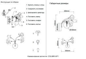 COLIBRI_AP1